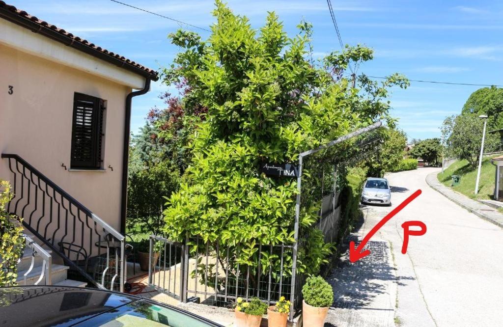 Apartment Tina Istra Buje Exterior photo