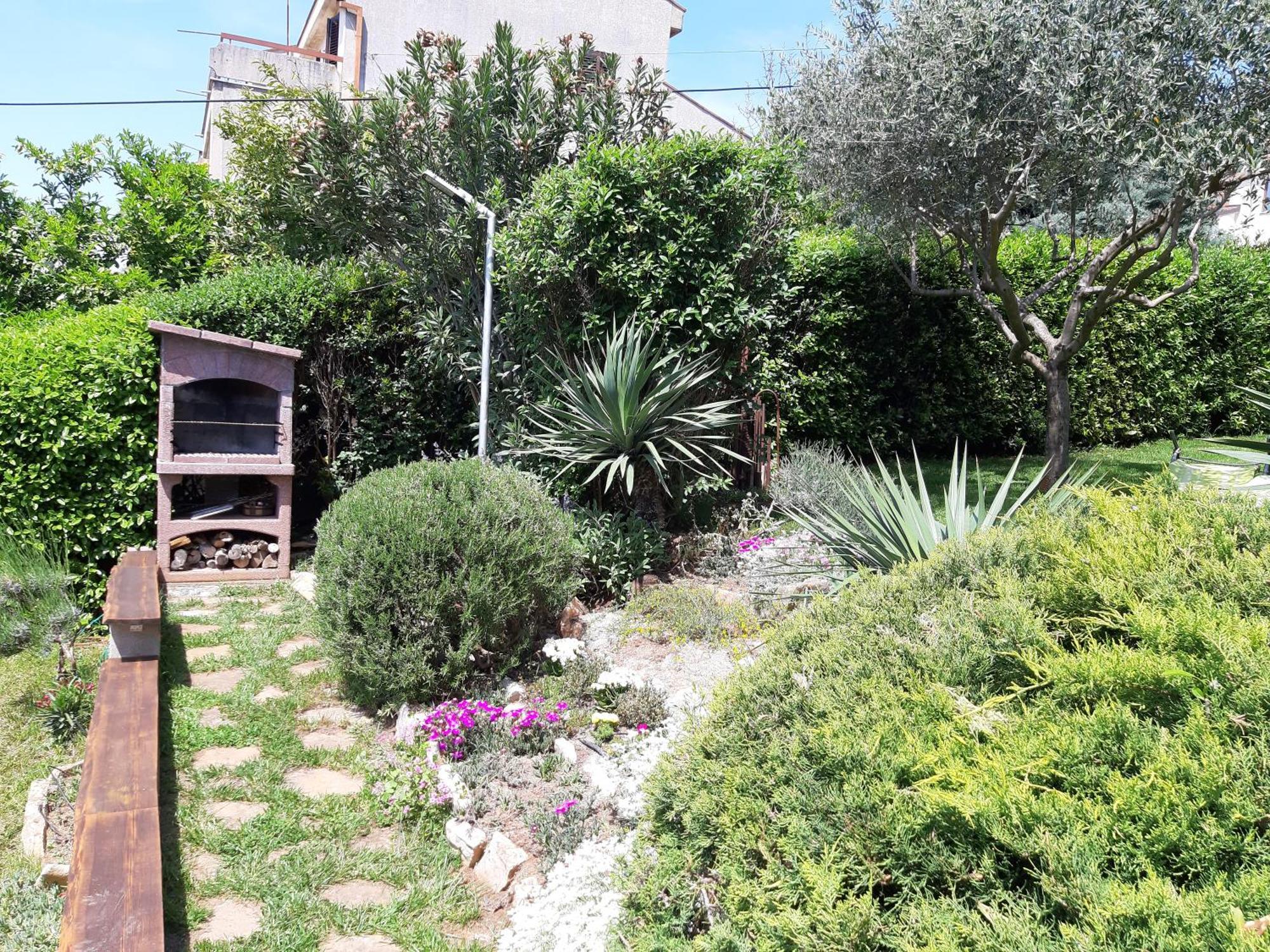 Apartment Tina Istra Buje Exterior photo